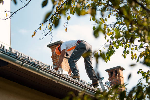 Best Roof Moss and Algae Removal  in Watsessing, NJ