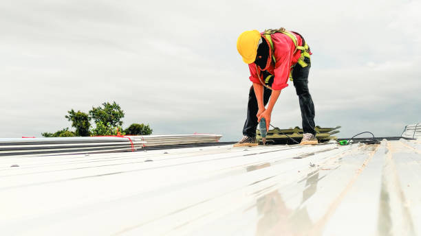 Best Roof Insulation Installation  in Watsessing, NJ
